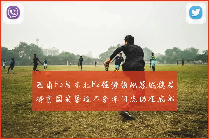 西南F3与东北F2强势领跑蓉城稳居榜首国安紧追不舍津门虎仍在底部挣扎